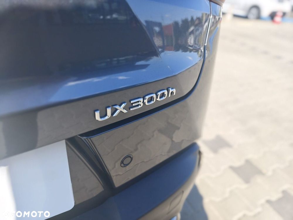 Lexus UX - 19