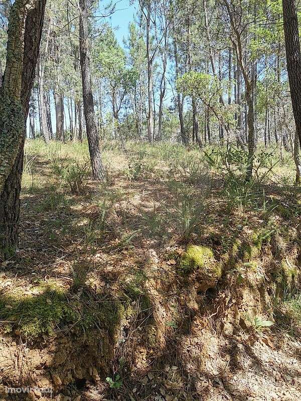 Terreno  para venda - Grande imagem: 2/4