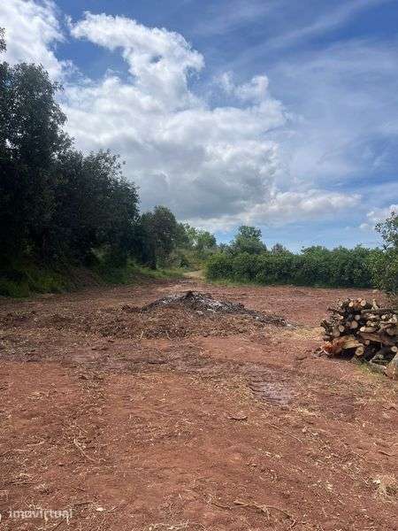 Venda terreno rustico - Grande imagem: 5/8
