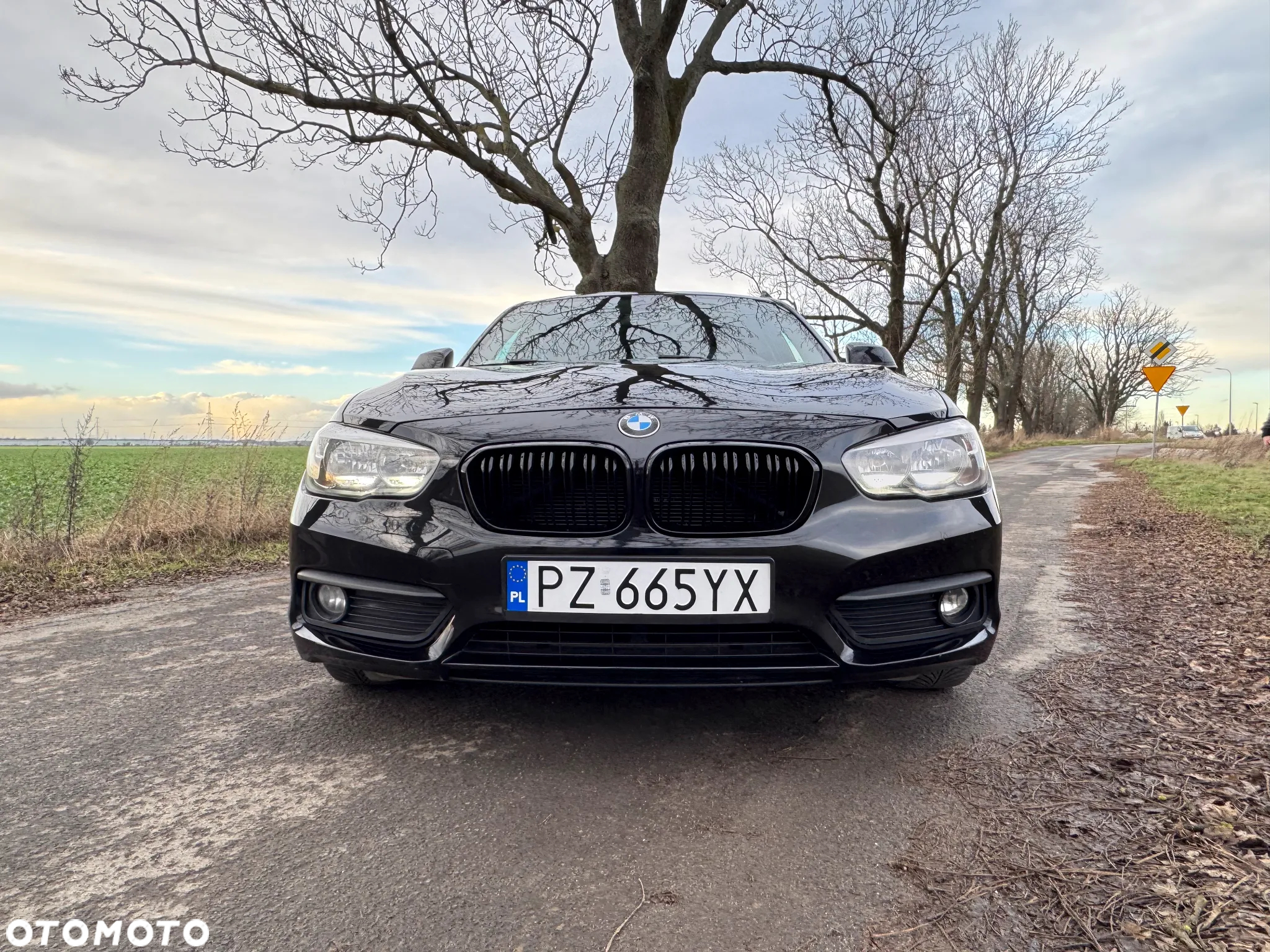 BMW Seria 1 116d - 16