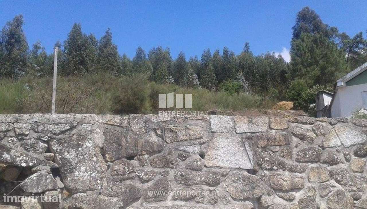 Venda Terreno, S. Miguel de Paredes, Penafiel - Grande imagem: 4/7