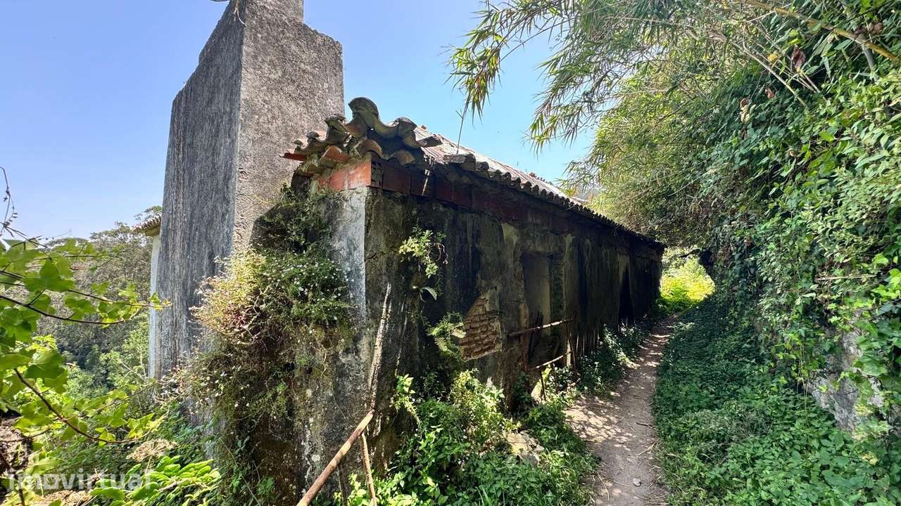 Quinta dos Sussurros — refúgio em Colares com riacho, cascatas e vista - Grande imagem: 4/46