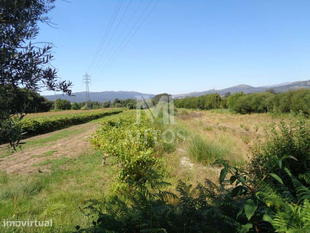Terreno para construção face à estrada nacional - Mazarefes - Grande imagem: 3/6