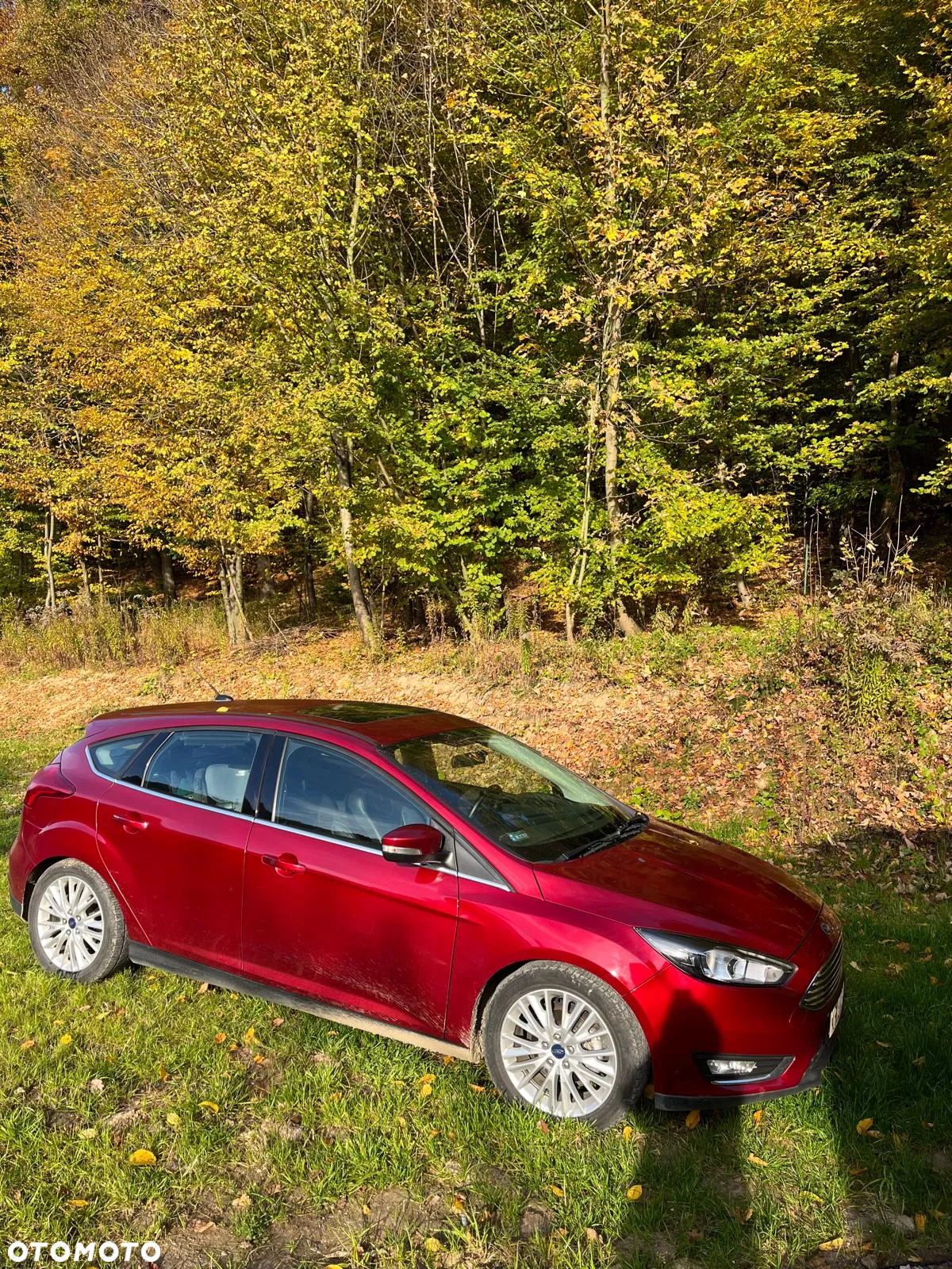 Ford Focus - 5