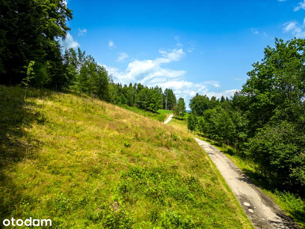 Działka rekreacyjna przy lesie, 3571 m2, cisza! - Pełny obrazek: 2/9