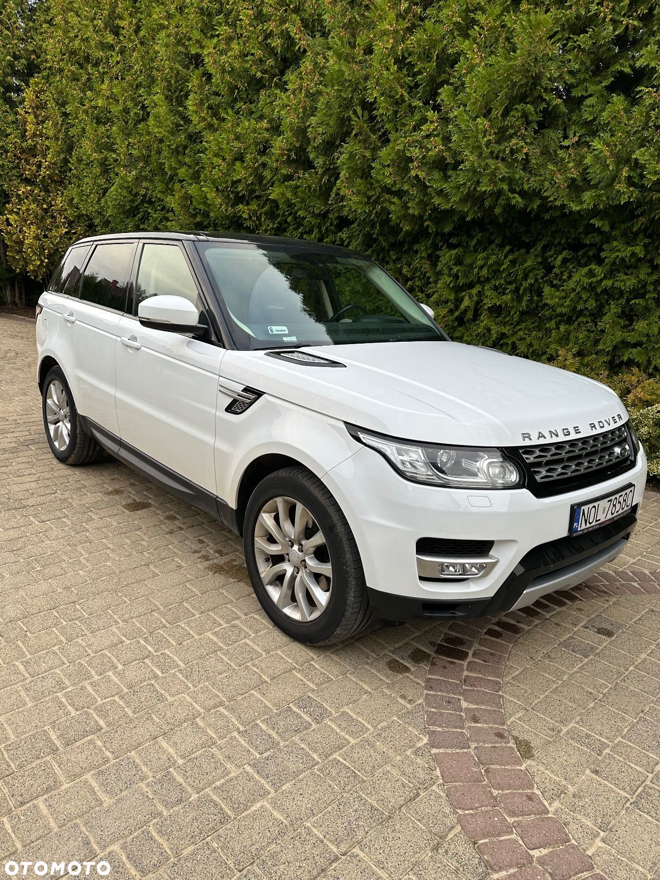 Land Rover Range Rover Sport S 3.0 TD V6 HSE - 1
