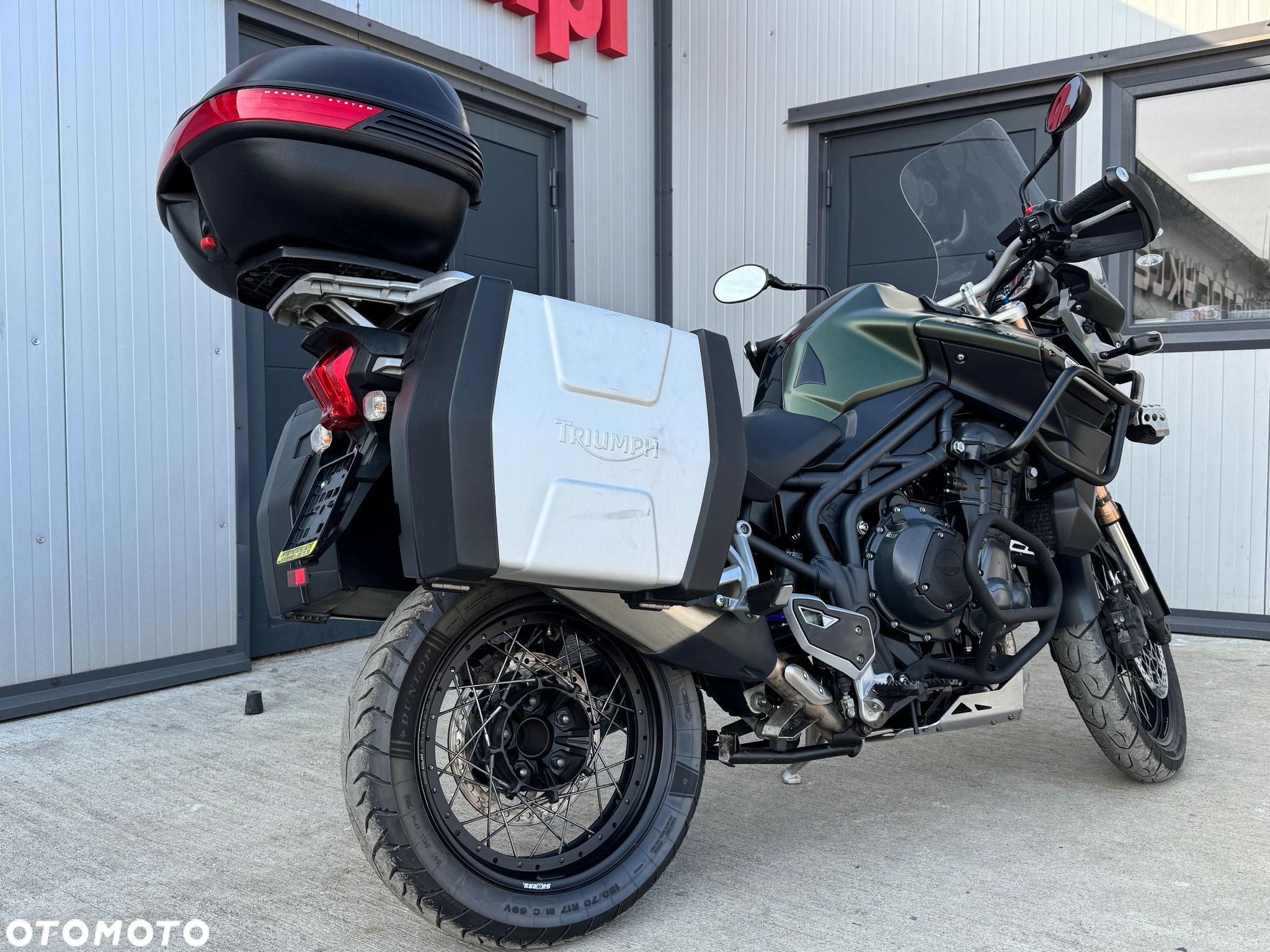 Triumph Tiger - 4