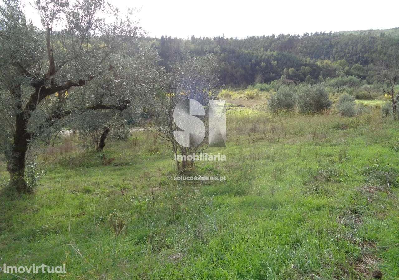Terreno em Lousã - Grande imagem: 5/11