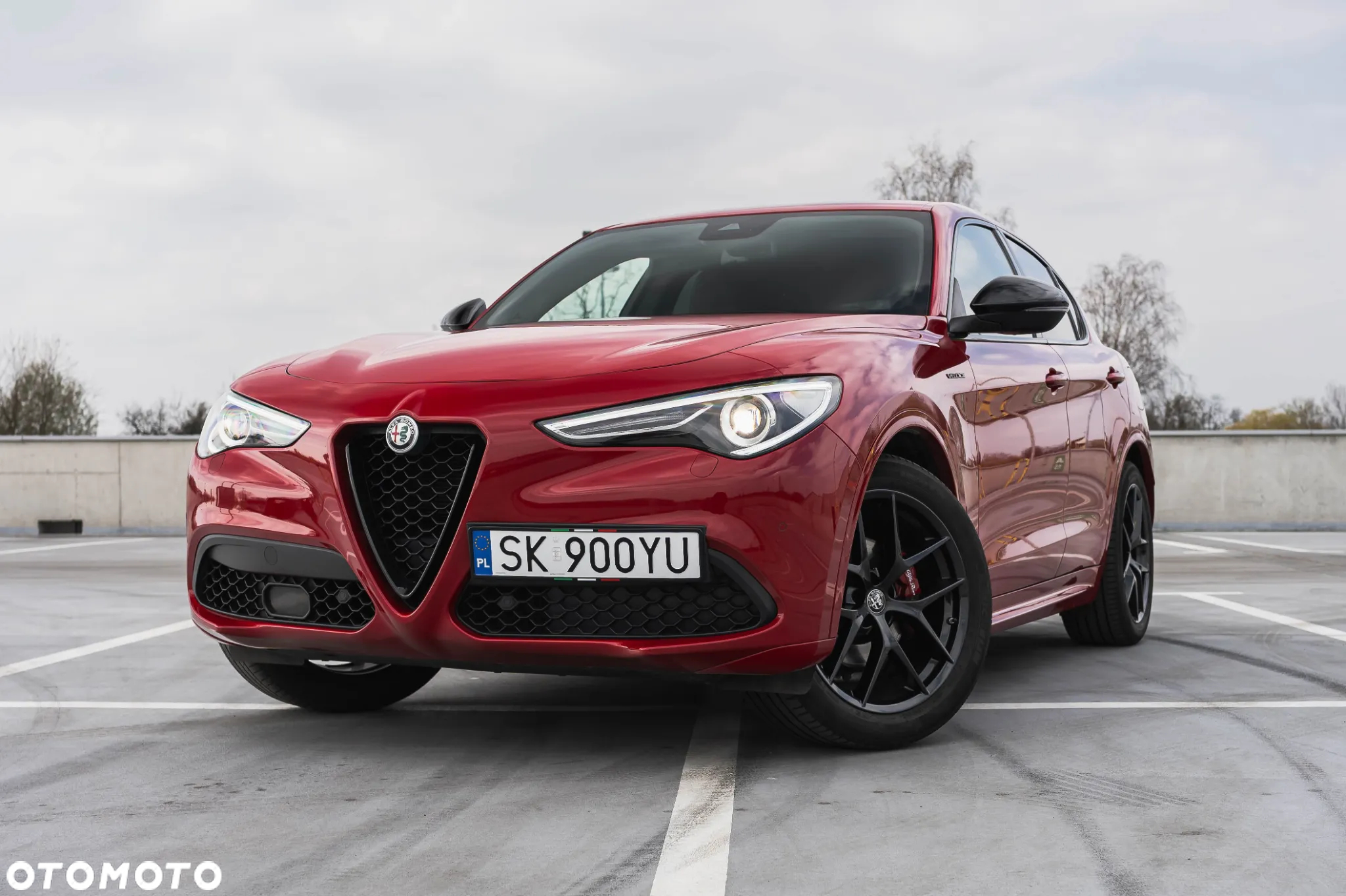 Alfa Romeo Stelvio 2.0 Turbo Veloce Q4 - 2
