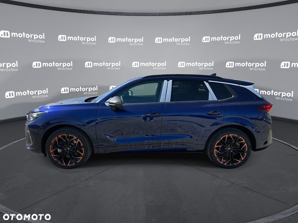 Cupra Terramar - 11