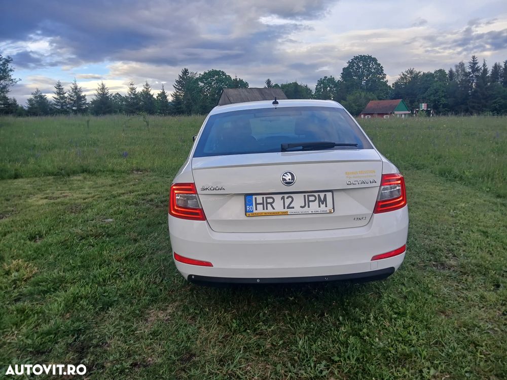 Skoda Octavia 2.0 TDI 4x4 DSG Style - 25