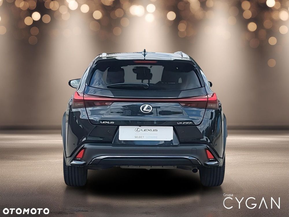 Lexus UX 250h GPF F Sport Design 2WD - 6