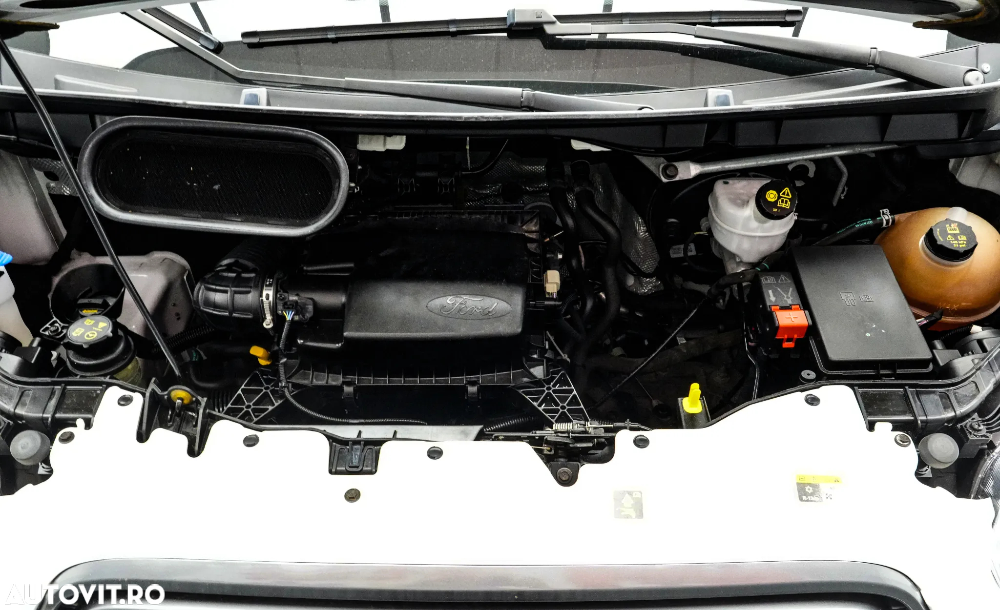 Ford Transit - 12