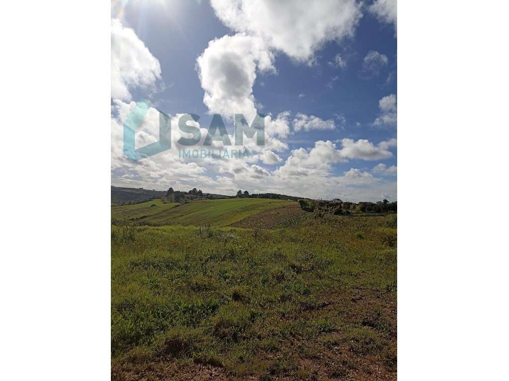 Terreno para construção, junto do Cadaval - Grande imagem: 5/5