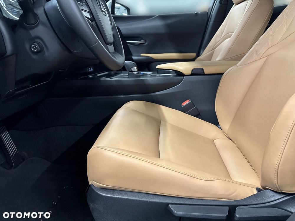 Lexus UX 300h F Sport Design - 16