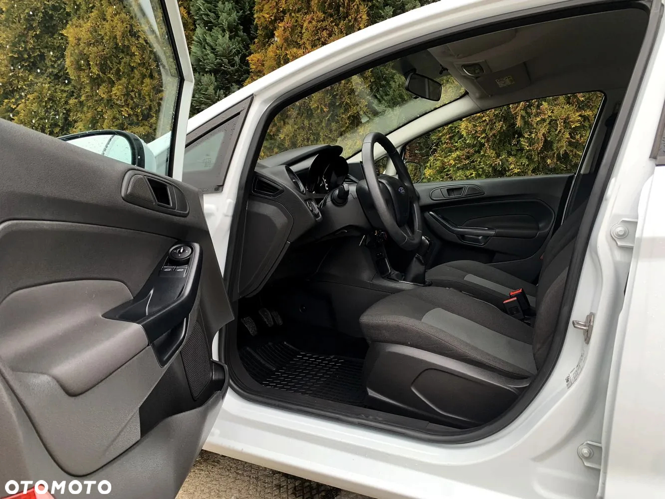 Ford Fiesta - 19