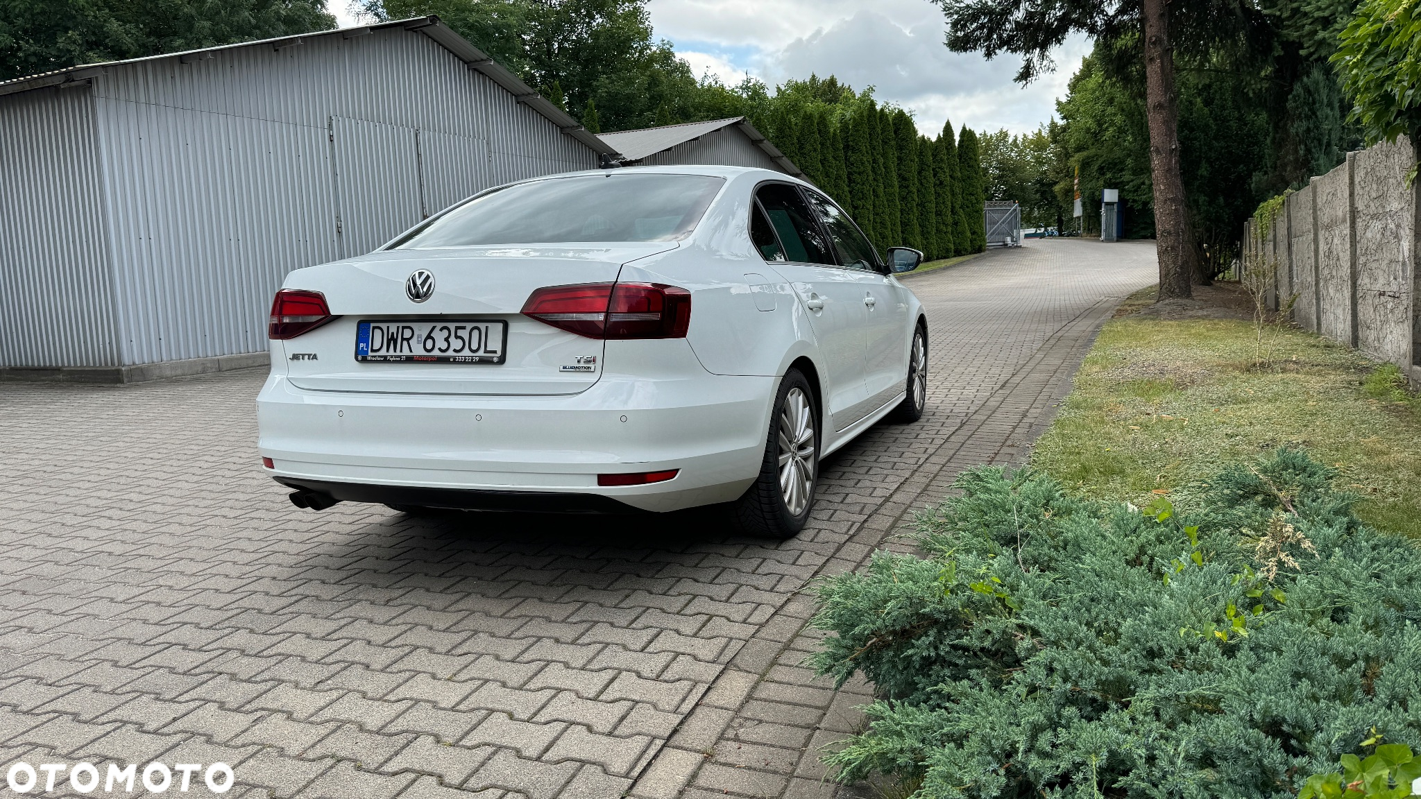 Volkswagen Jetta - 5