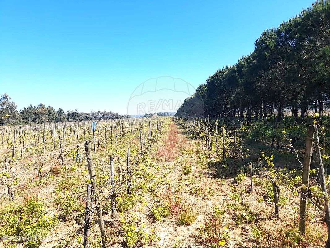 Terreno  para venda - Grande imagem: 2/6