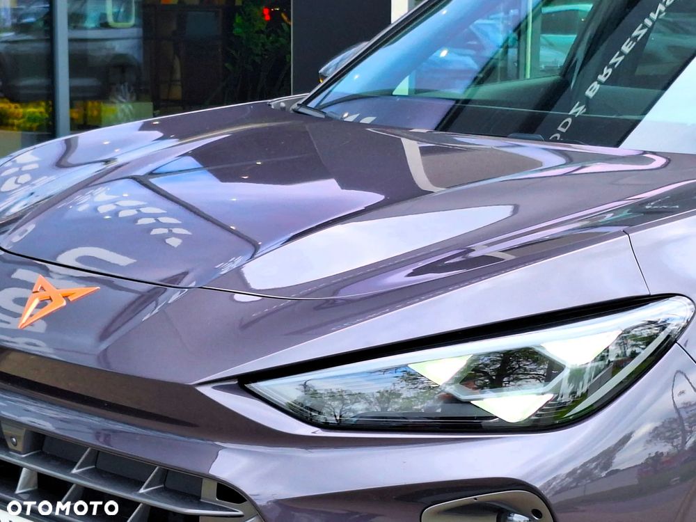 Cupra Terramar - 10