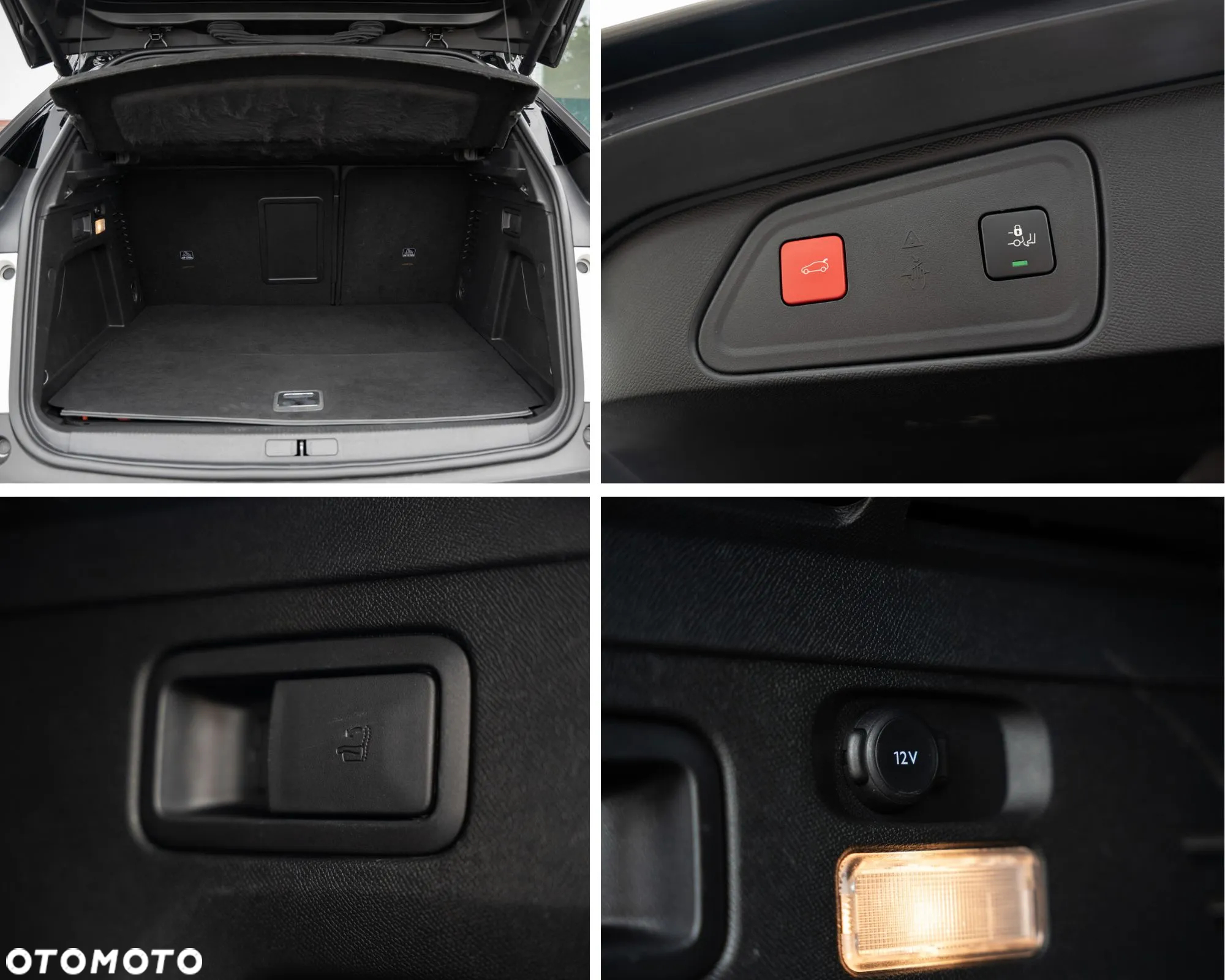 Peugeot 3008 Hybrid4 300 e-EAT8 GT - 40