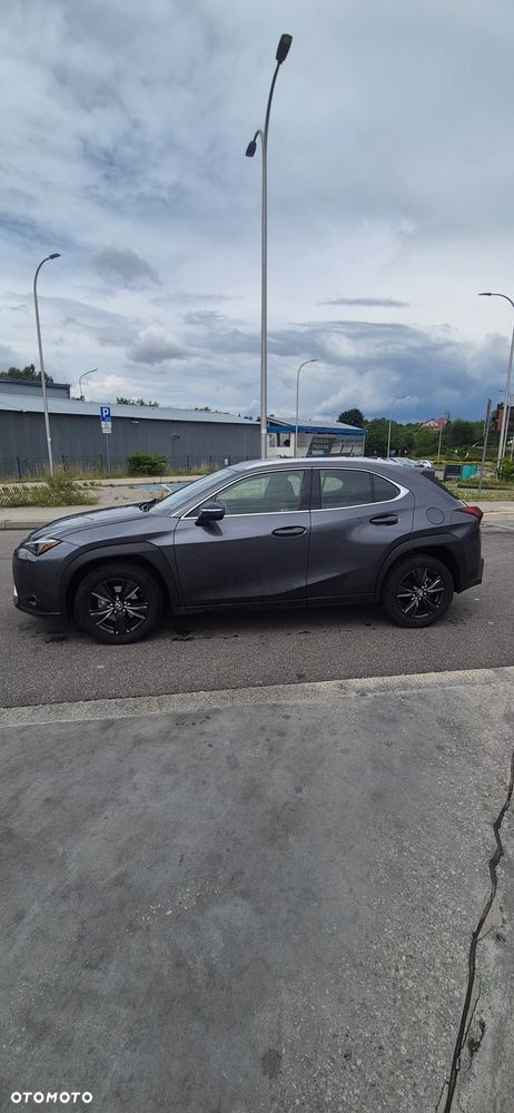Lexus UX 250h - 2