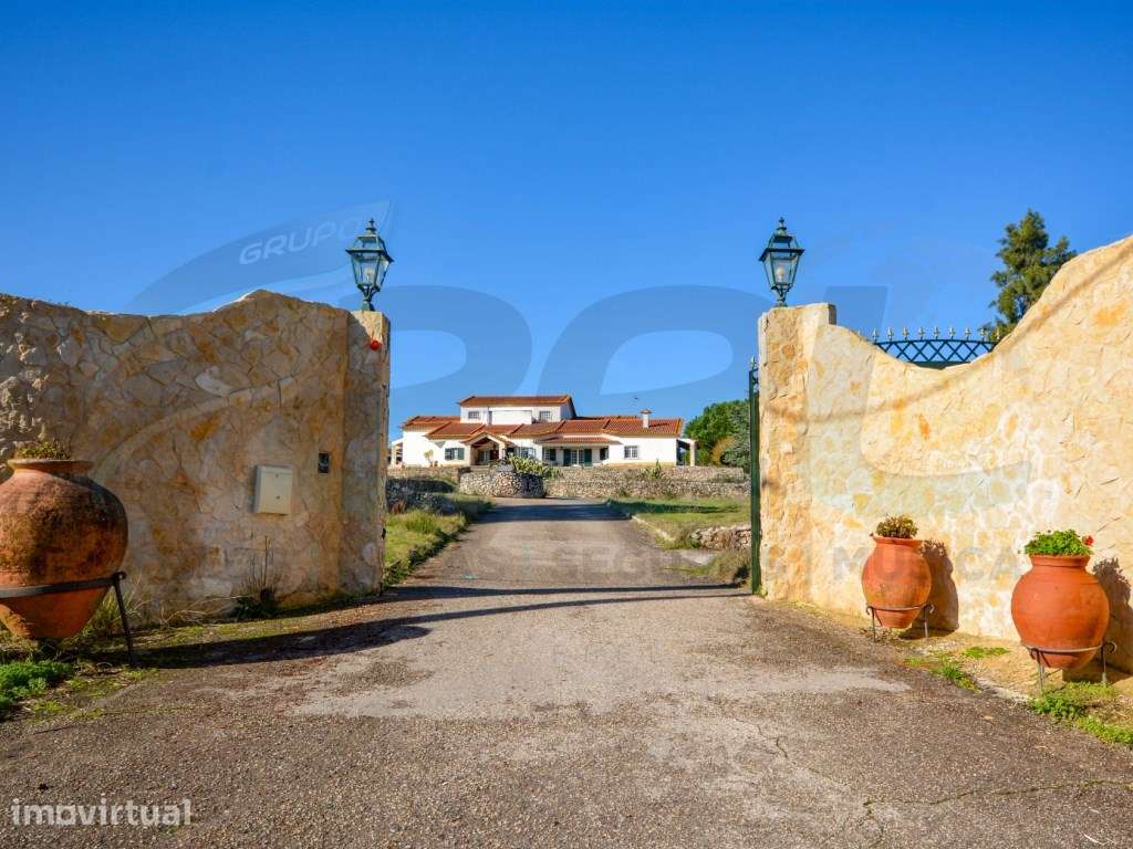 QUINTA T10 - Grande imagem: 2/60