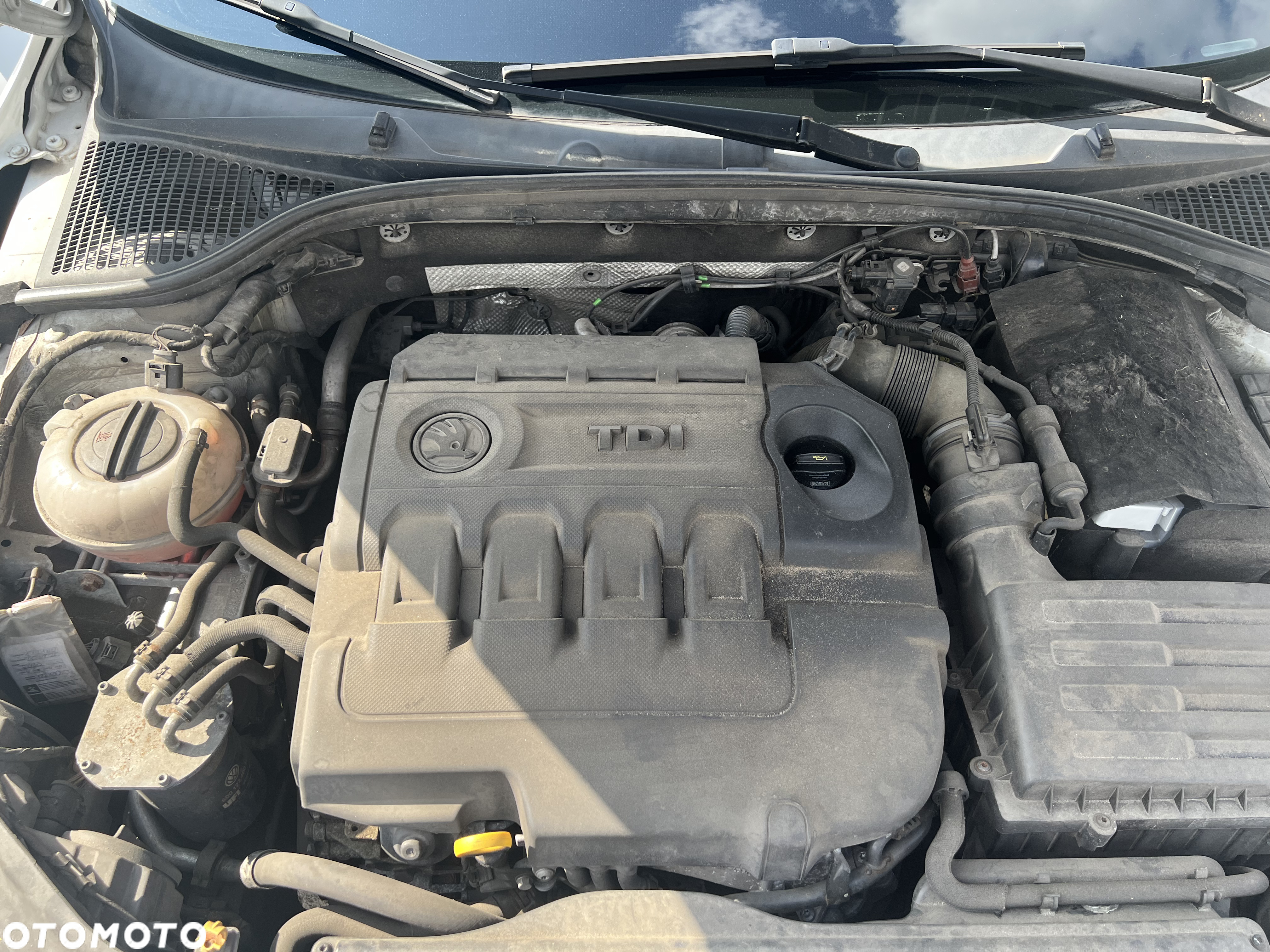 Skoda Octavia Scout 2.0 TDI 4x4 DSG - 40