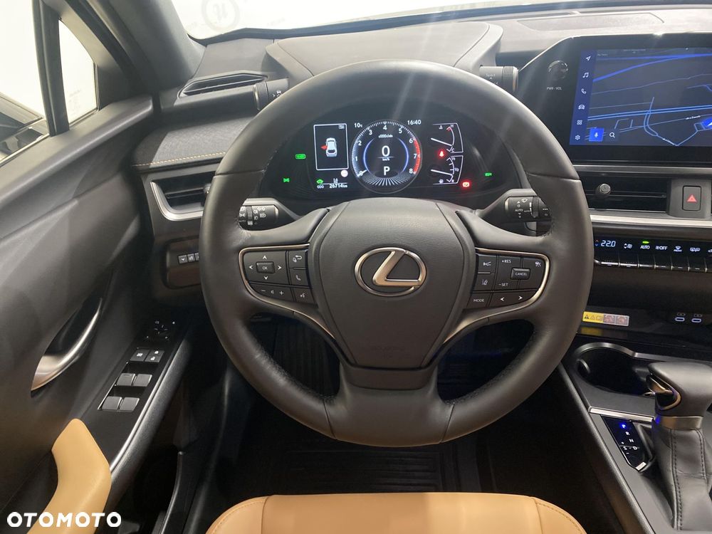Lexus UX 250h GPF F Sport Design 2WD - 12