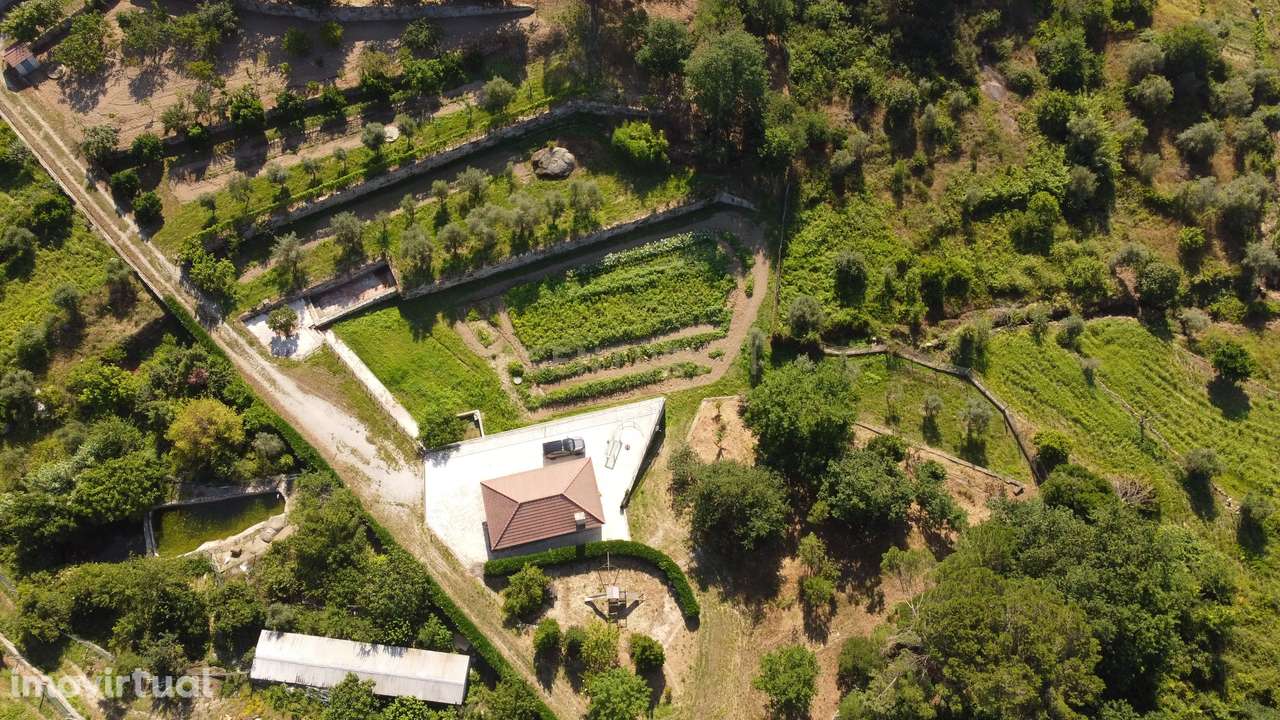 Quintinha em S. João de Lourosa com Casa e Anexos - Grande imagem: 2/26