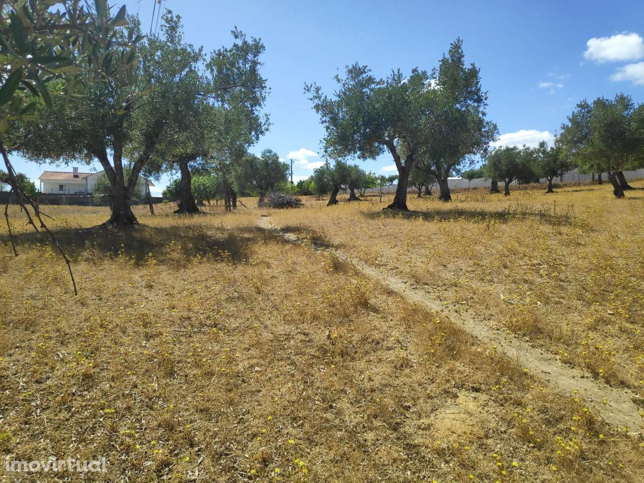 Terreno com cerca de 6000m2 em São Simão, Tomar. - Grande imagem: 2/8