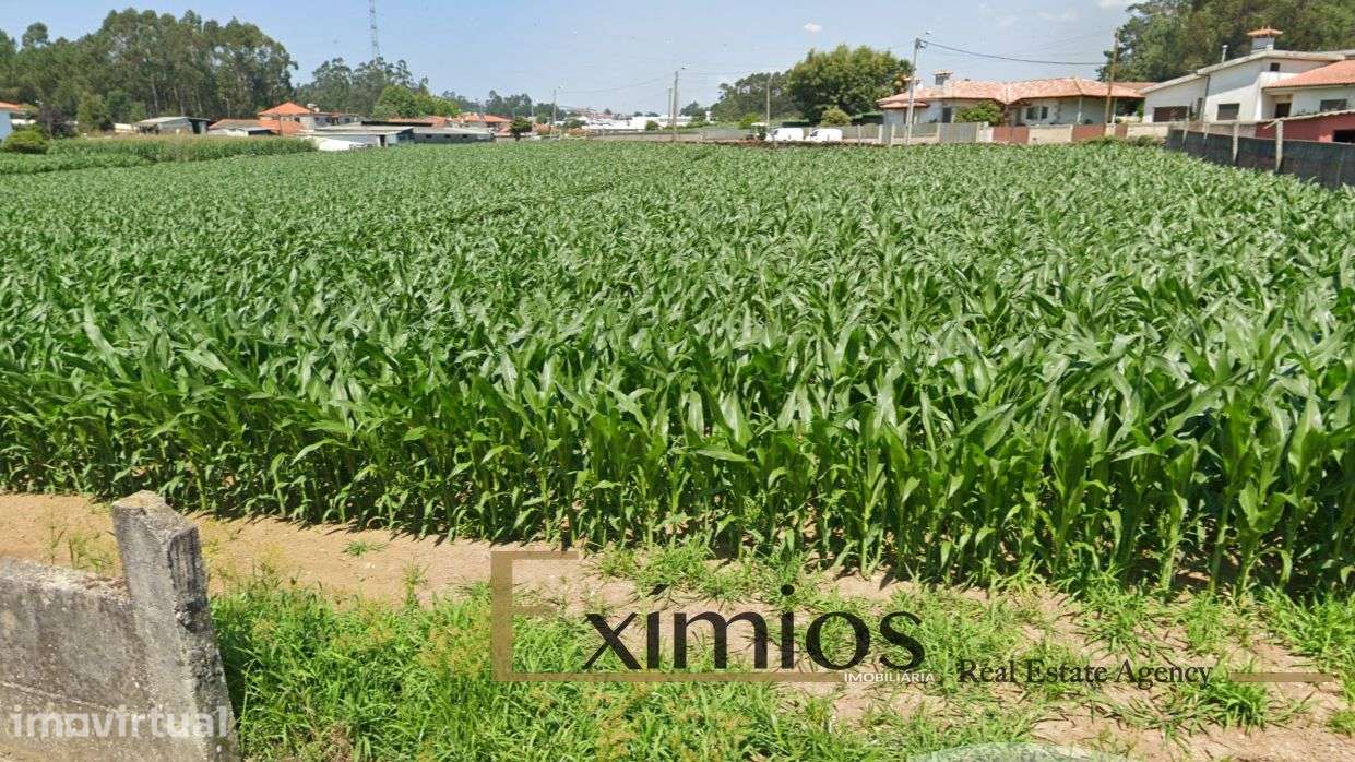 Lote de terreno com 577m2, em Balasar, Póvoa de Varzim - Grande imagem: 3/6