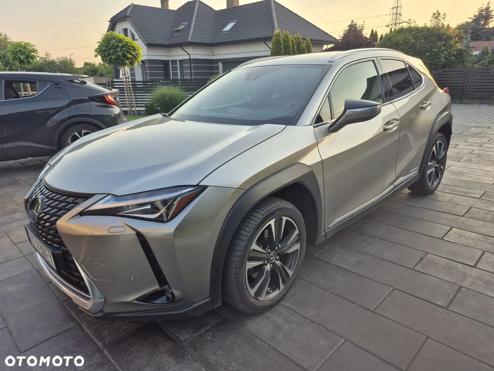 Lexus UX 250h GPF Business Edition 2WD - 12
