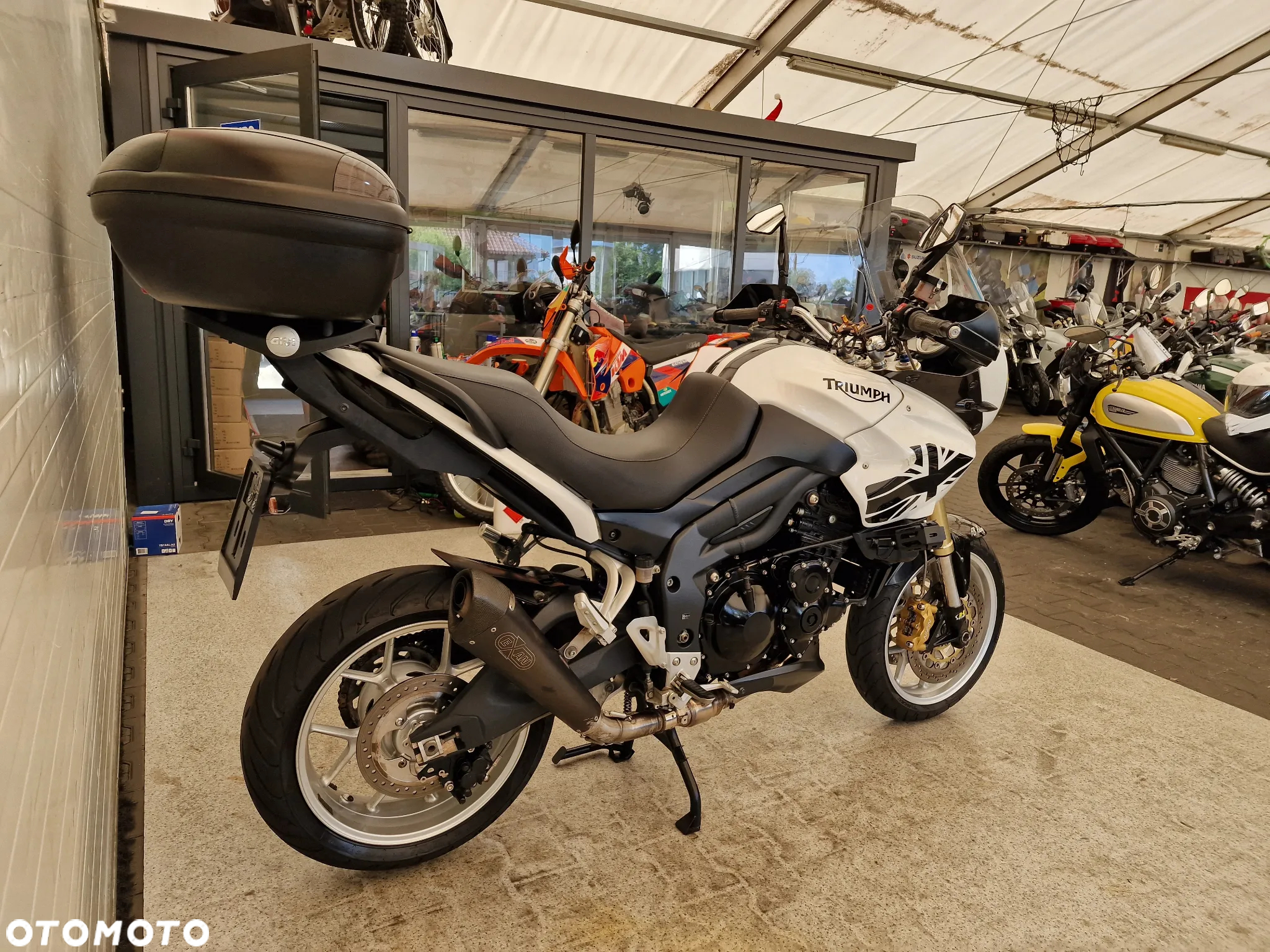 Triumph Tiger - 18