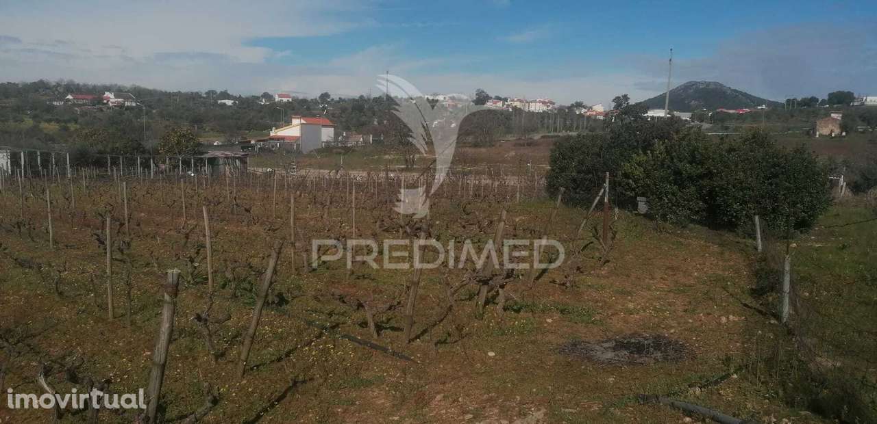 Terreno Industrial - Grande imagem: 4/7