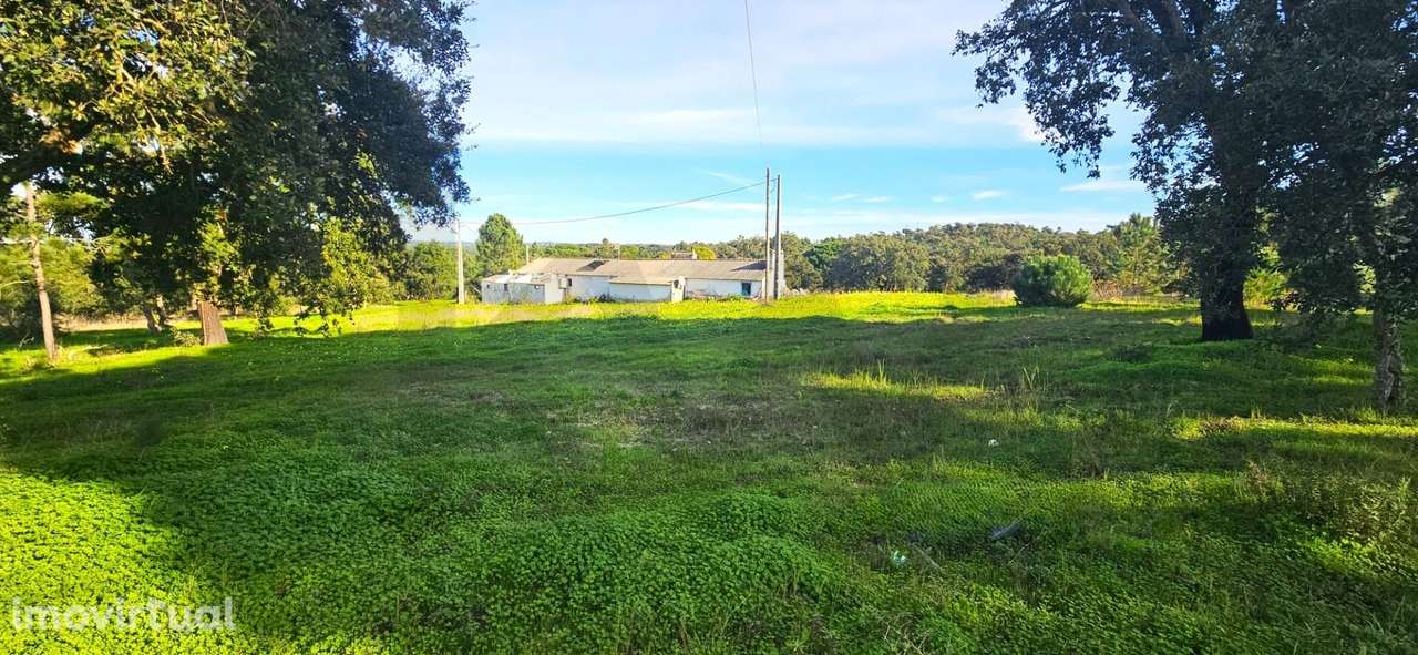 Quintinha Exclusiva a 5 Minutos da Praia: O Cenário Perfeito para o Se - Grande imagem: 5/23