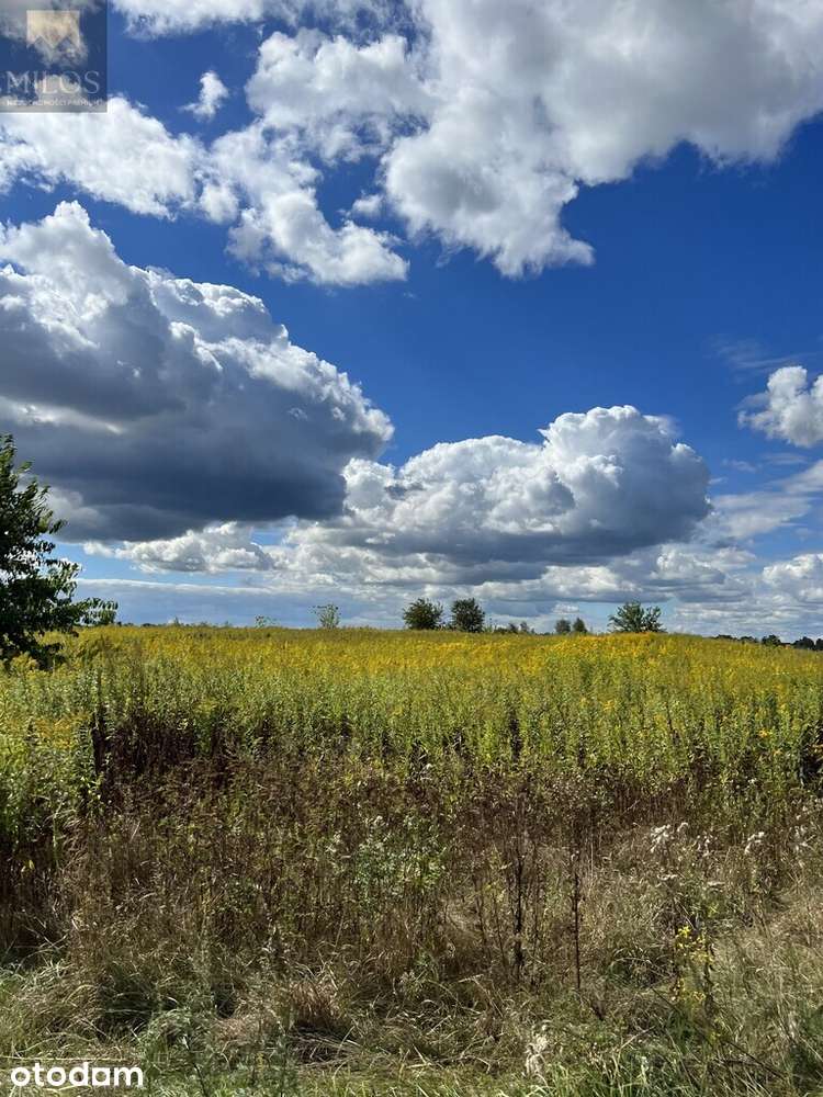 Działka inwestycyjna - Pełny obrazek: 3/5