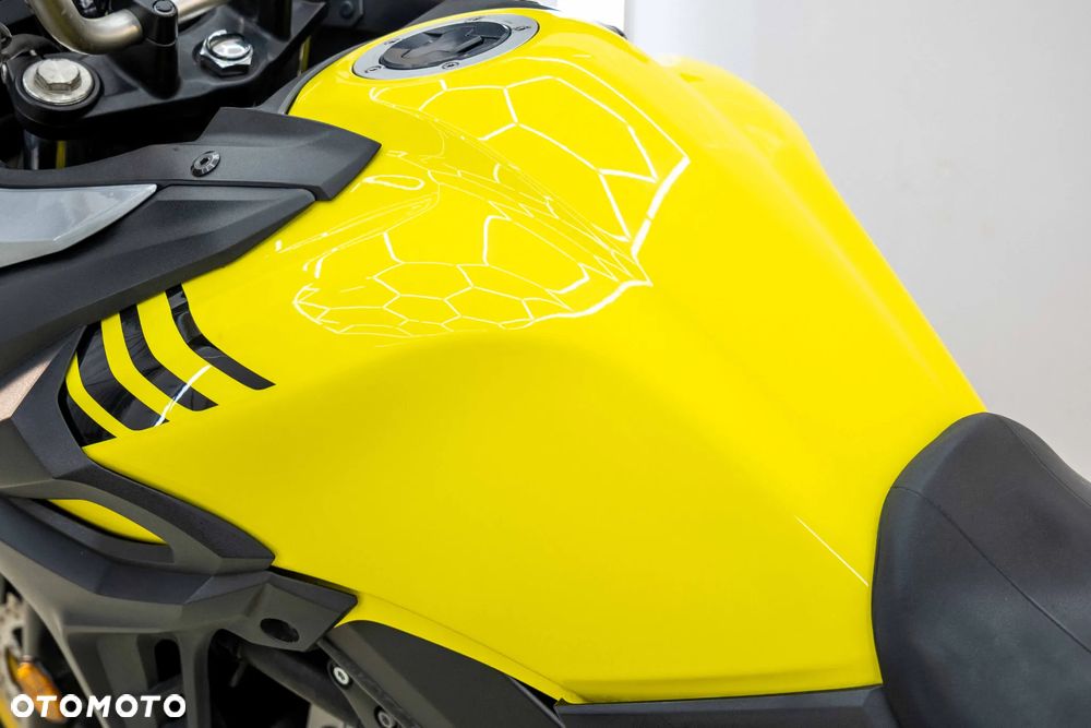 Suzuki V-STROM - 21