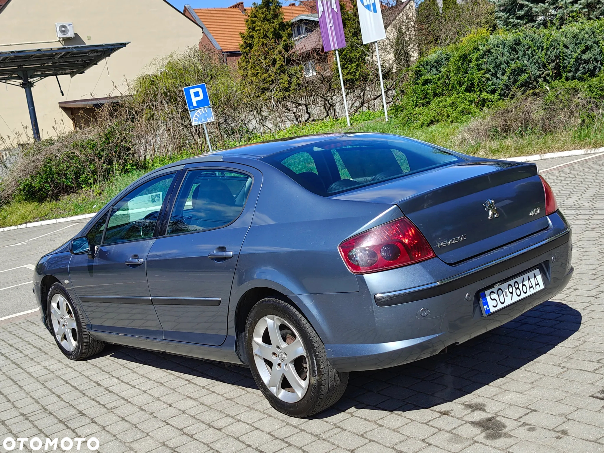 Peugeot 407 SW 160 Platinum - 14