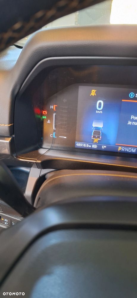 Ford Ranger 3.0 EcoBlue Turbo 4x4 DC Wildtrak - 12