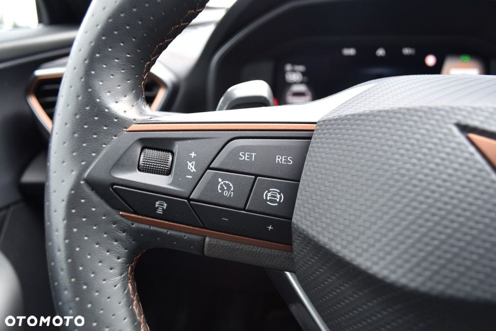 Cupra Formentor 2.0 TSI 4Drive DSG - 14