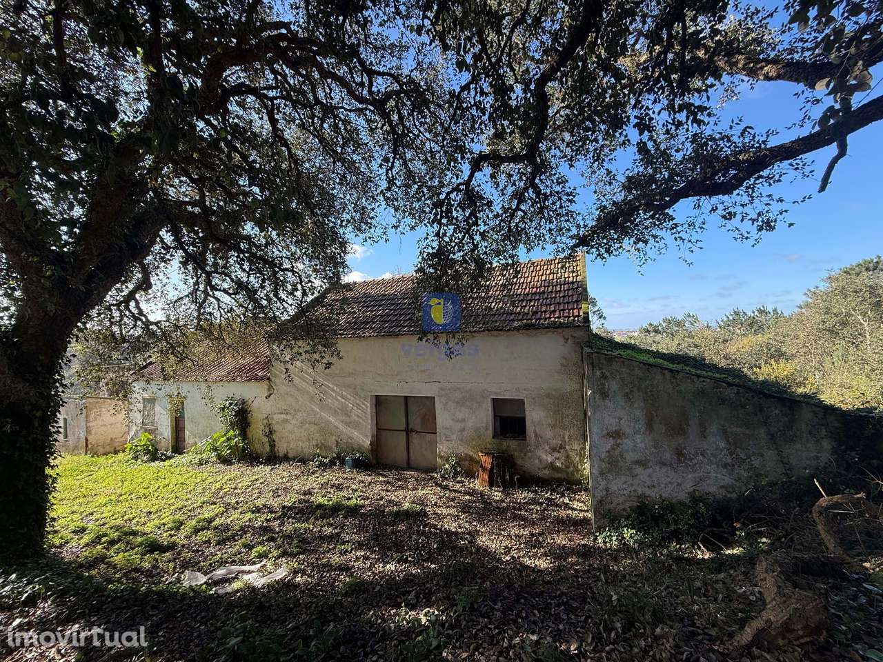 Quinta com 19,195 m² | Vinha Produtiva | Projeto Aprovado p/construção - Grande imagem: 3/39