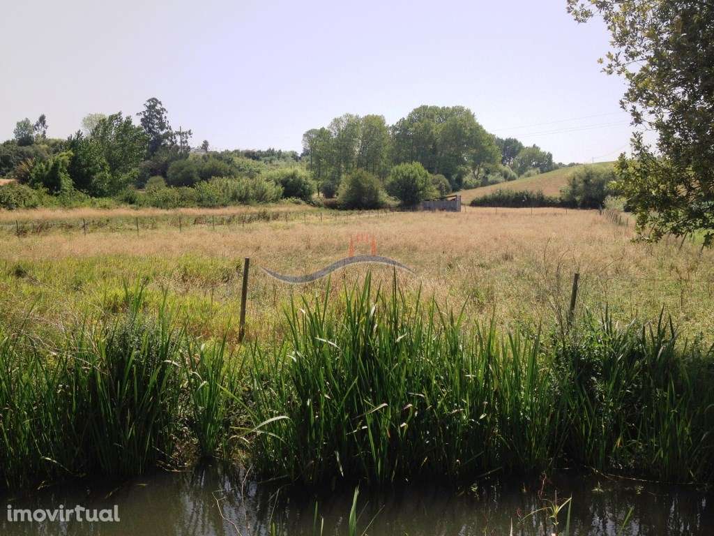 Terreno - Lameiro - Grande imagem: 2/8