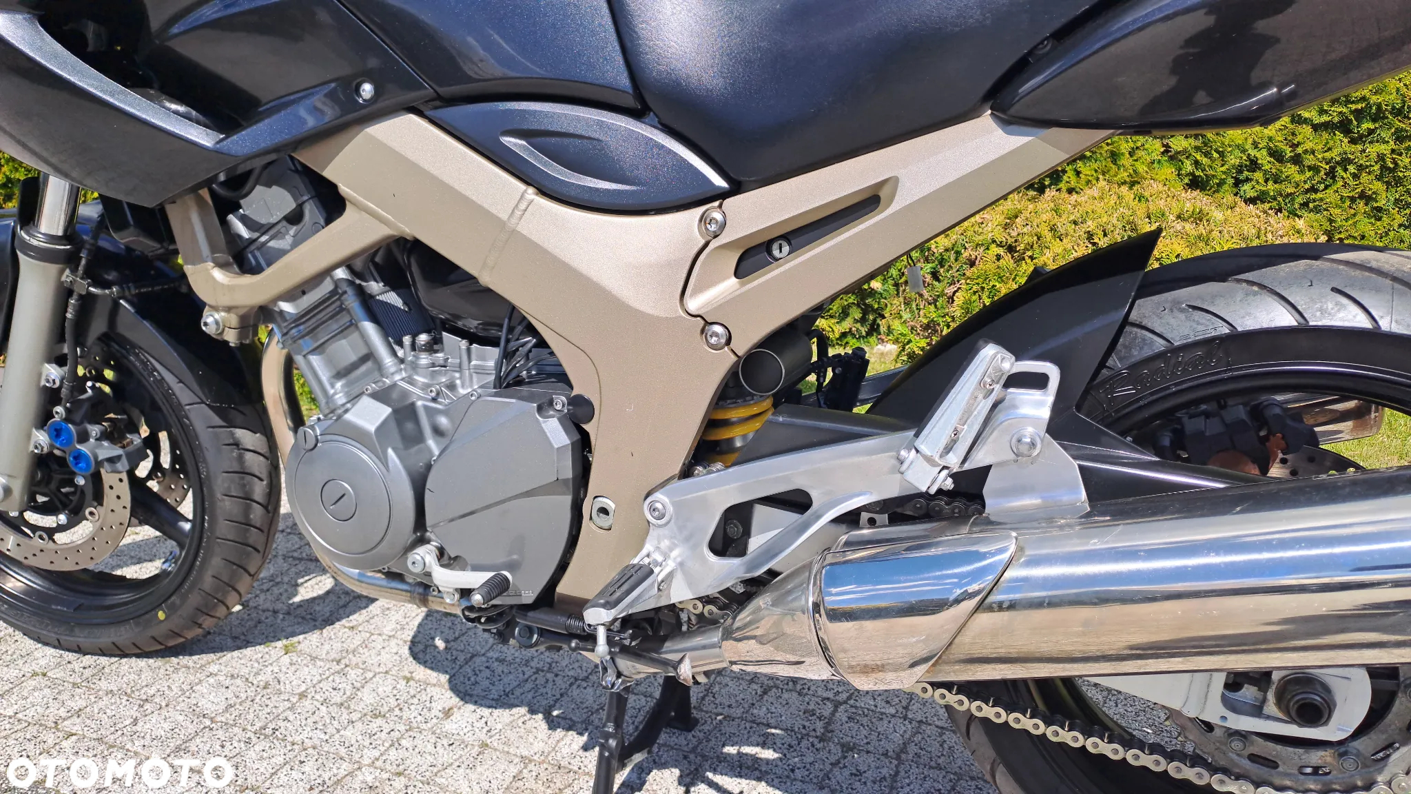 Yamaha TDM - 38
