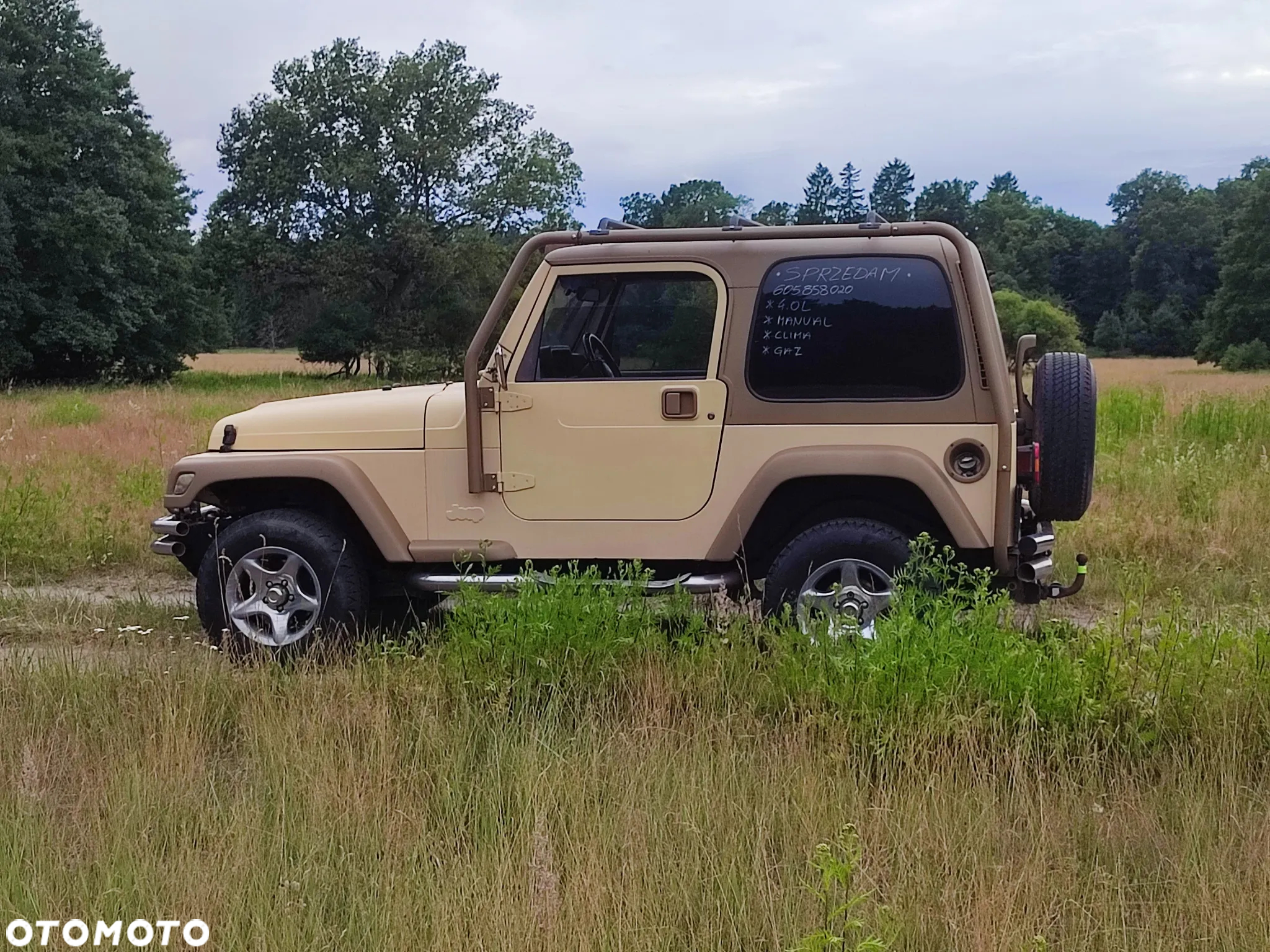 Jeep Wrangler 4.0 Sport - 8