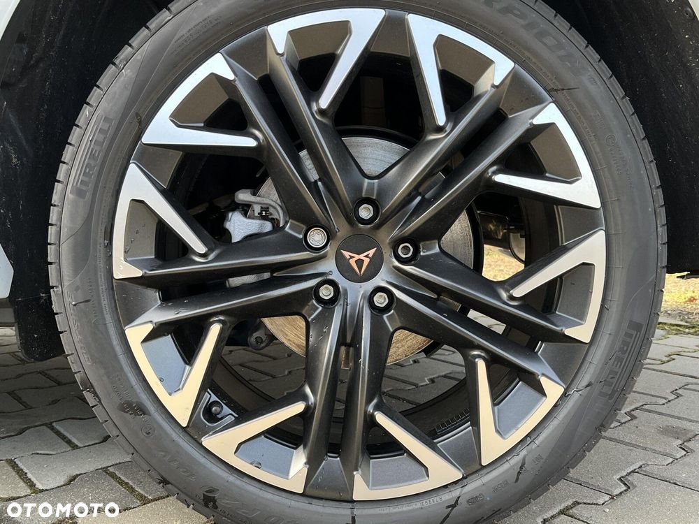 Cupra Terramar - 10