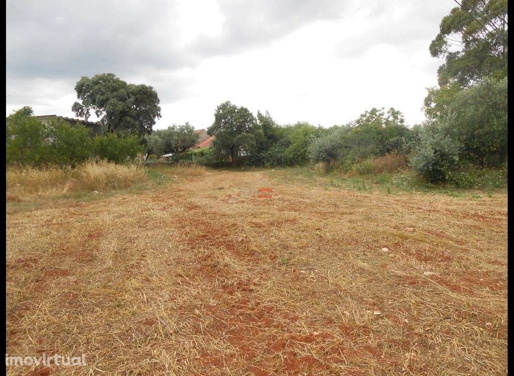 TERRENO PARA CONSTRUÇÃO COM 2880 M2 - MORADIA PARA RESTAURO - Grande imagem: 2/24