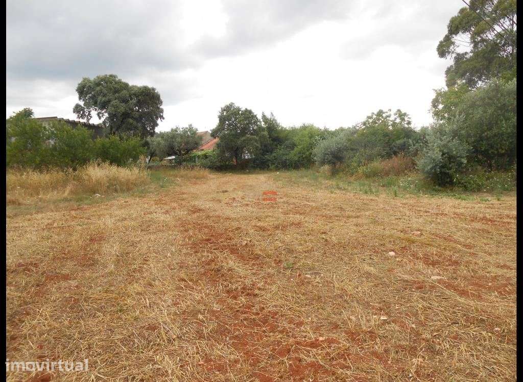 TERRENO PARA CONSTRUÇÃO COM 2880 M2 - MORADIA PARA RESTAURO - Grande imagem: 2/24