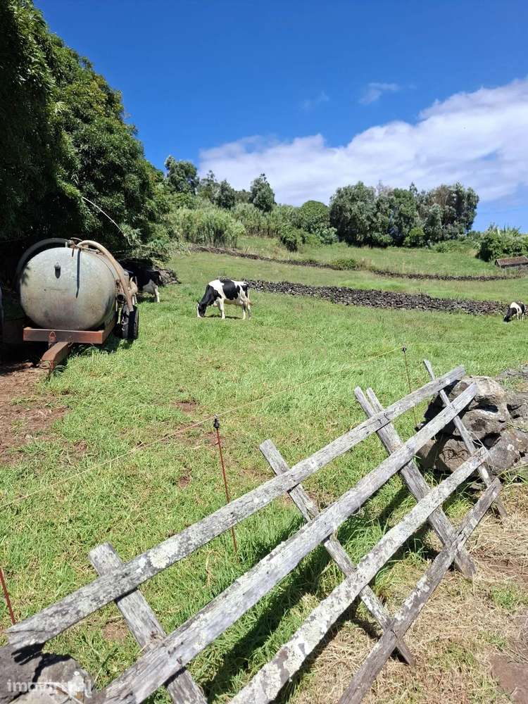 Terreno com 4840 metros quadrados em Vila de São Sebastião, Angra do H - Grande imagem: 3/3