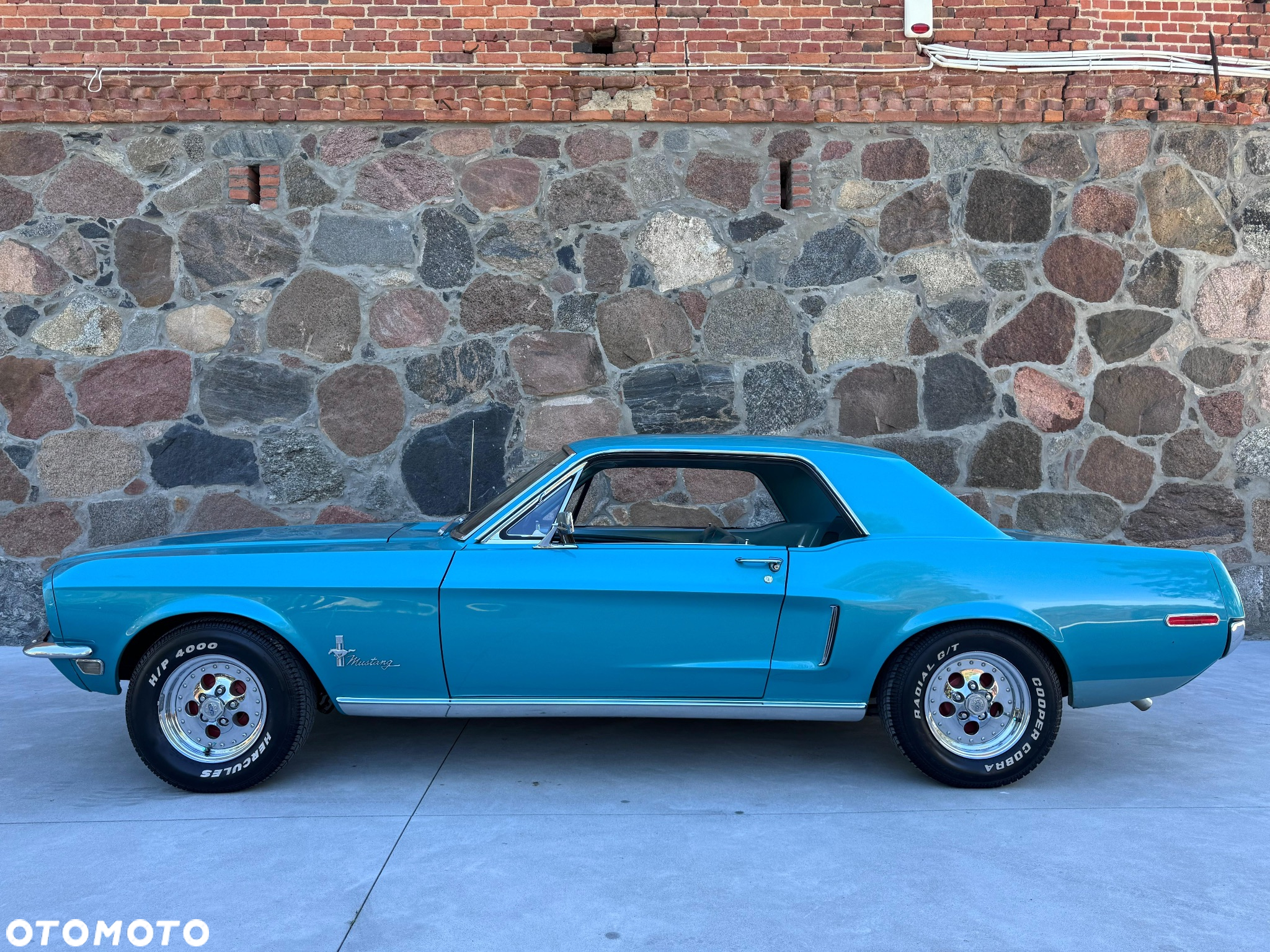 Ford Mustang - 5