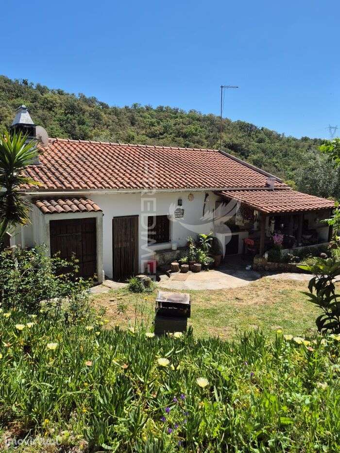 Monte Alentejano em Fonte Boa de Baixo - Grande imagem: 4/21